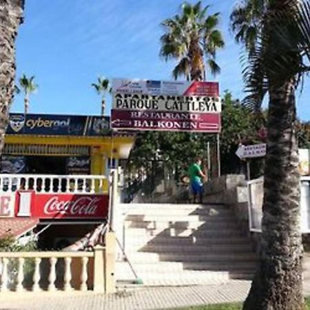 Parque Cattleya Tenerife 플라야데라스아메리카스 외부 사진
